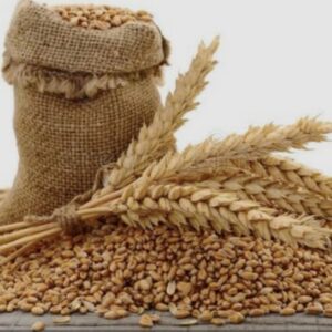 Céréales de Blé - Pour Animaux