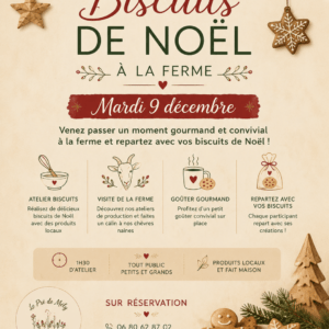 Atelier biscuits de Noël - 9 Décembre 2026